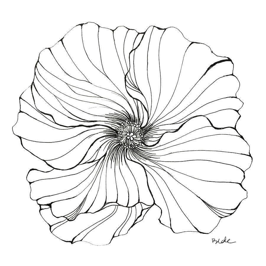 Hibiscus Drawing by Catherine Bede