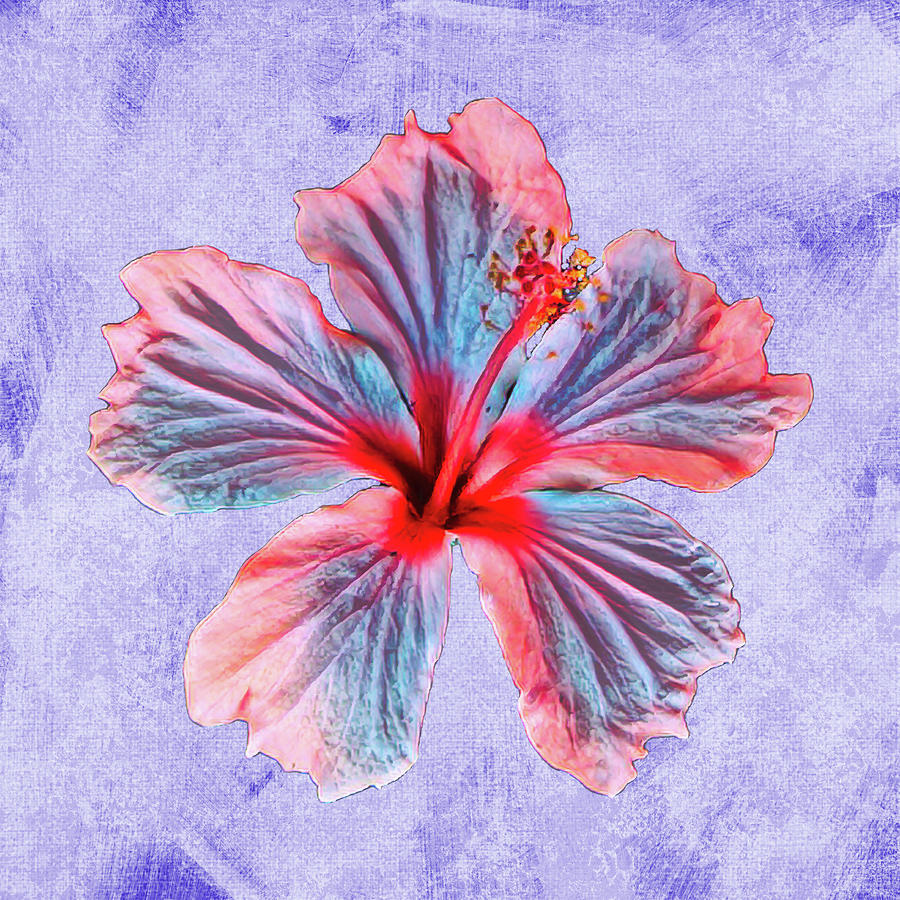 Hibiscus Design Mixed Media by Rosalie Scanlon