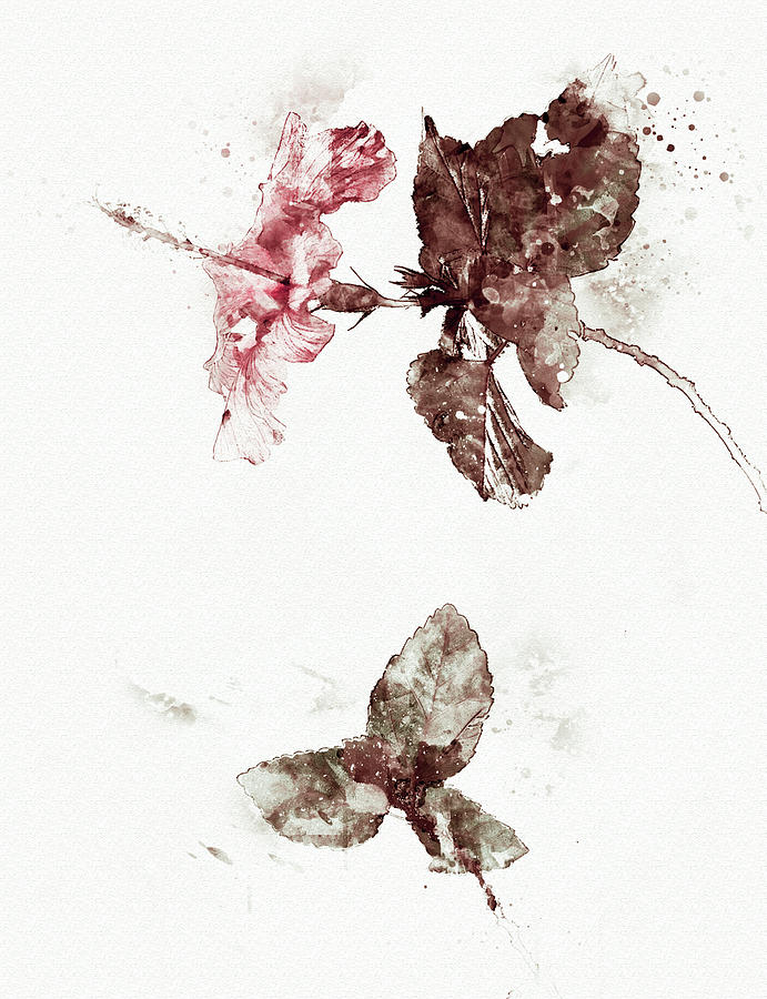 Hibiscus Flower and Leaves in Watercolor Painting by Susan Maxwell ...