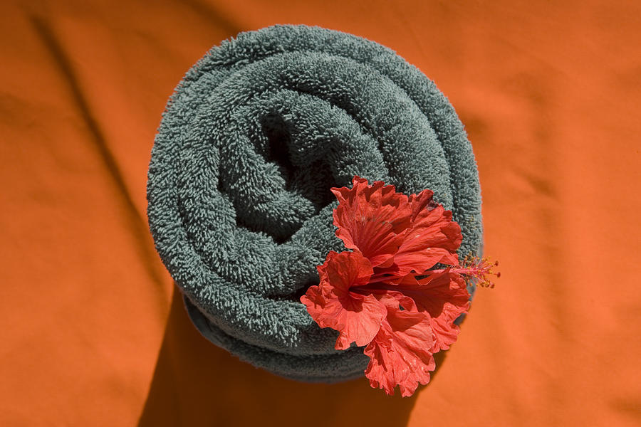 Hibiscus flower in towel at Jean-Michel Cousteau Resort. Photograph by Holger Leue