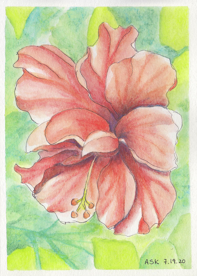 Hibiscus for Peggy Painting by Anne Katzeff