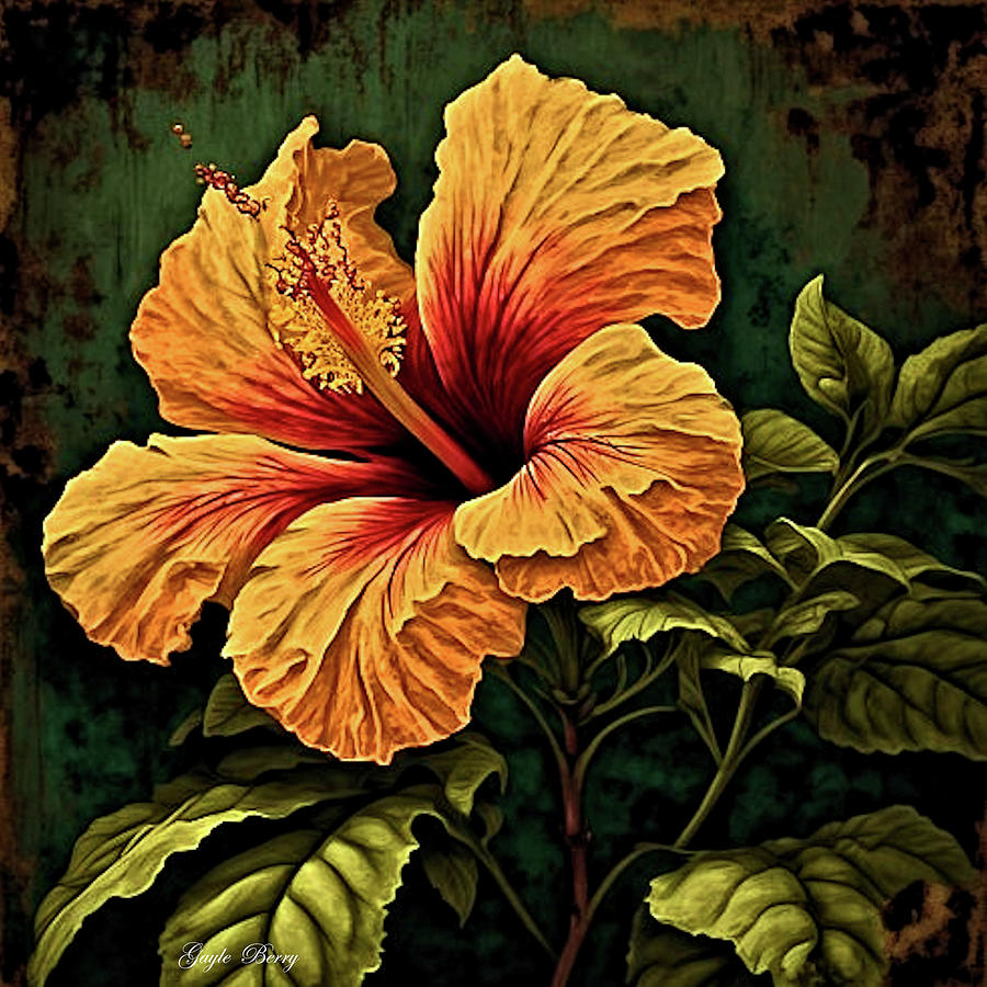 Hibiscus Mixed Media By Gayle Berry Fine Art America