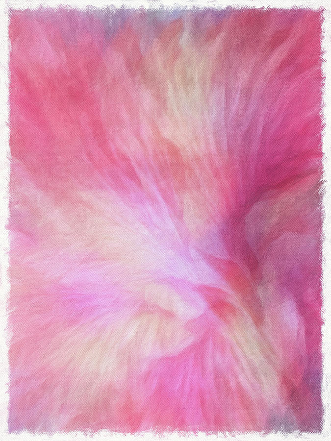 Hibiscus Impressions Digital Art by Terry Davis