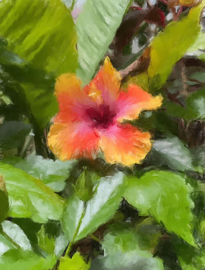 Hibiscus in Bloom Painting by Gary Arnold