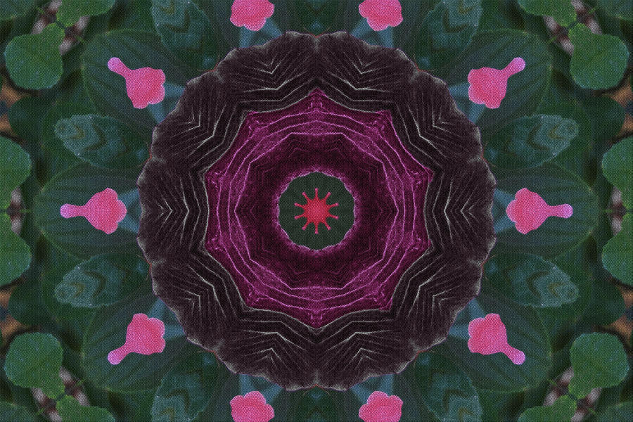 Hibiscus Kaleidoscope Photograph
