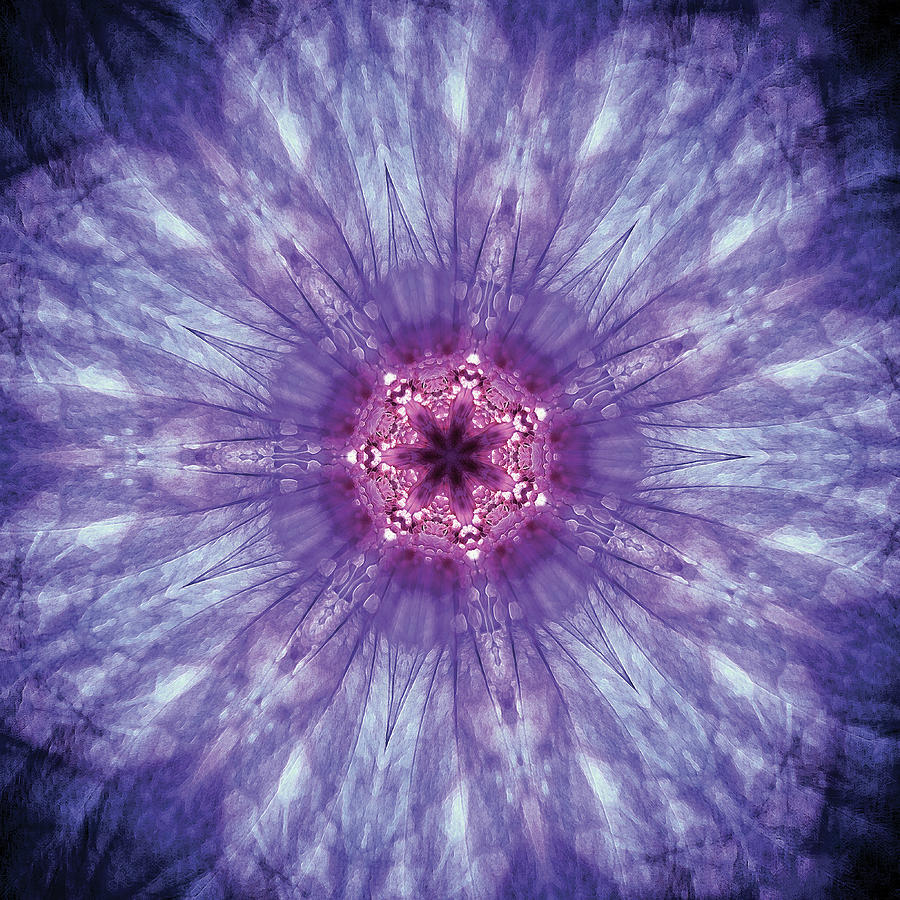 Hibiscus Mandala Digital Art by Dave Turner