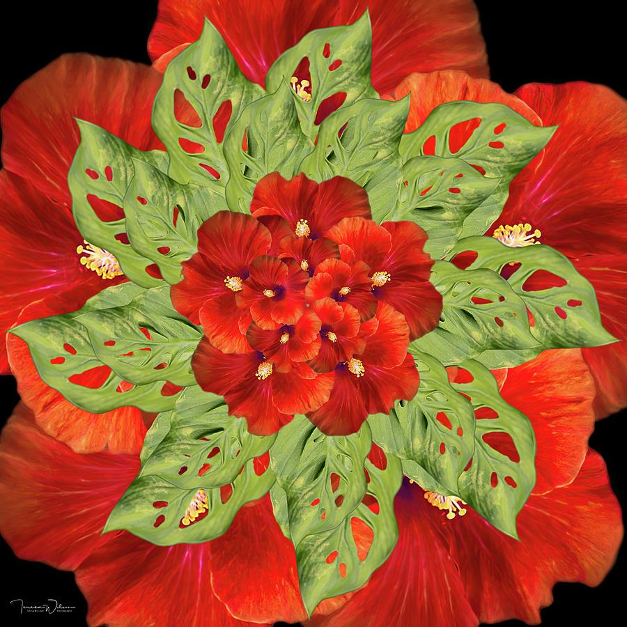 Hibiscus Mandala Digital Art by Teresa Wilson