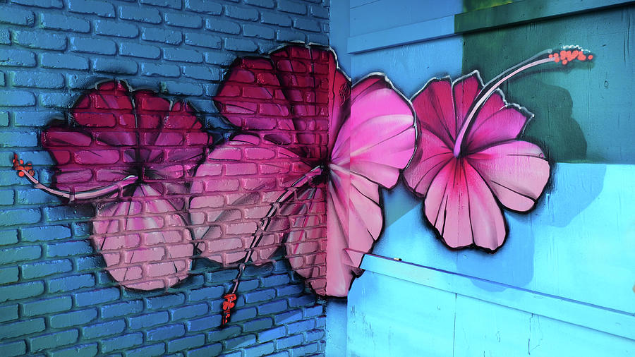 Hibiscus Mural Photograph by Luz Resto Hibiscus Mural Photograph by Luz Resto