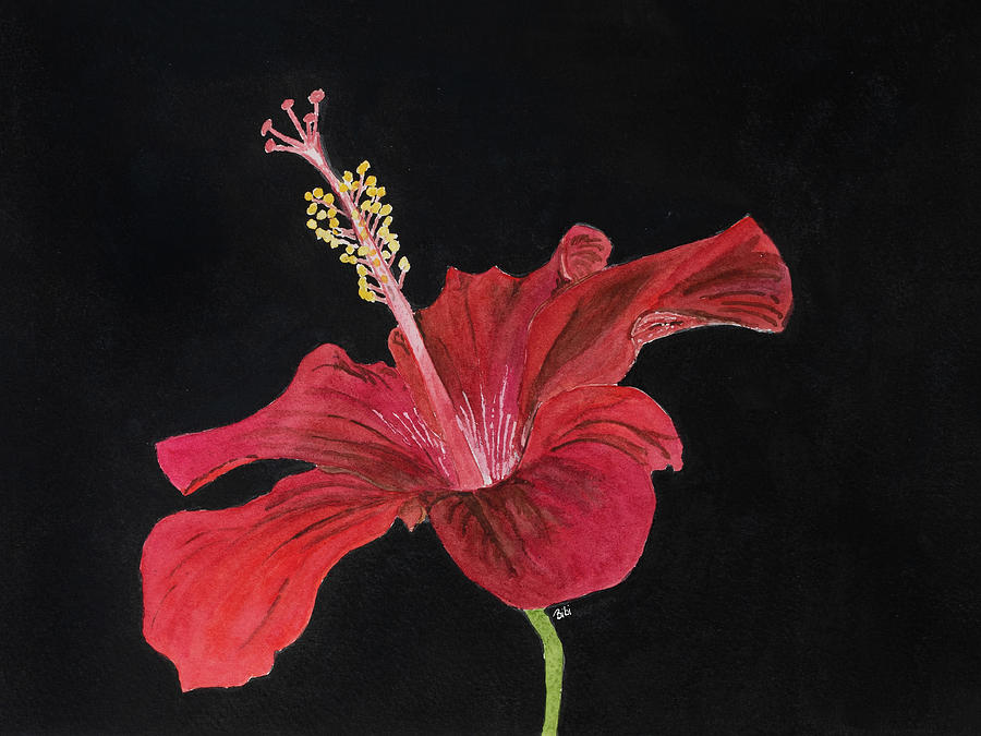 Hibiscus Season Painting by Bibi Gromling - Fine Art America