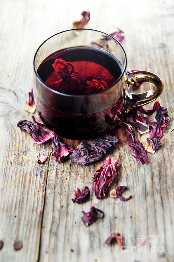 Hibiscus tea 1 Photograph by Jelena Jovanovic