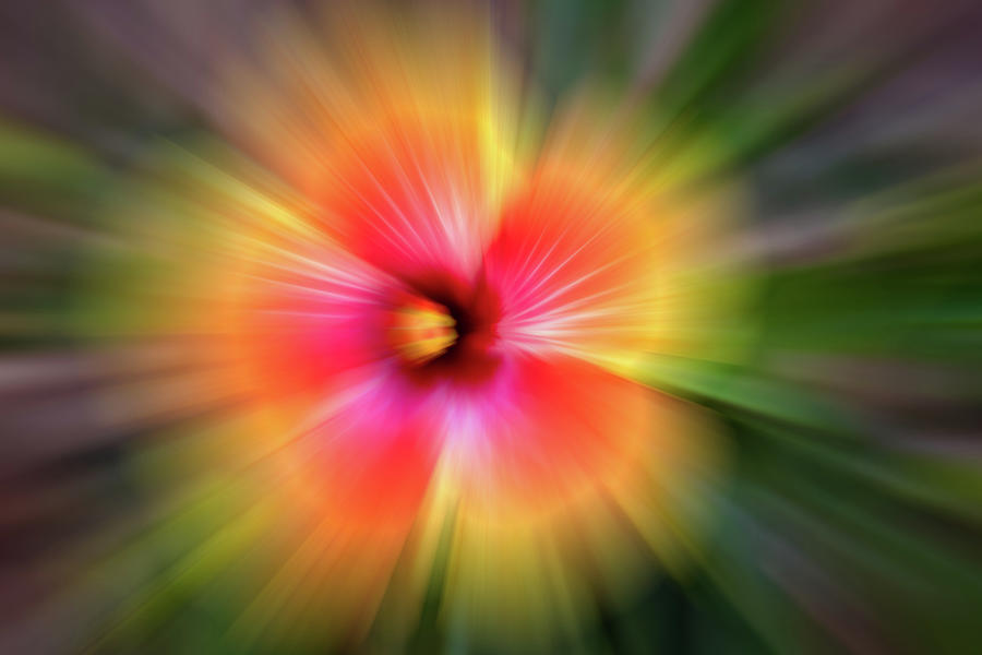 Hibiscus Zoom Digital Art by John Kirkland