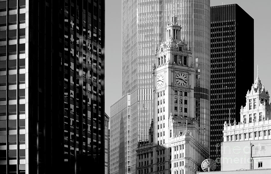 Chicago skyline in black and white Photograph by Gunther Allen
