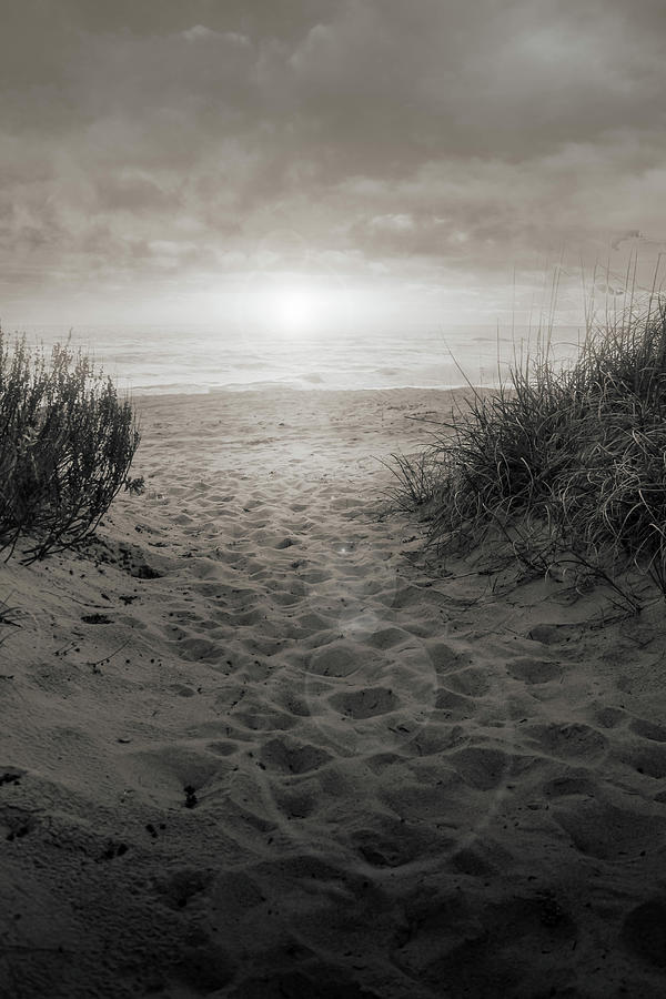 Hidden Beach Photograph by Jason Fink