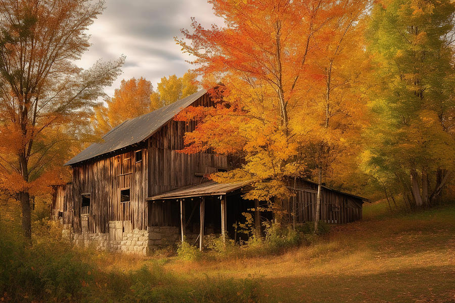 Architecture Photograph - Hidden Country Barn by Athena Mckinzie