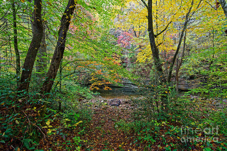 Fall Photograph - Hidden Creek by Paul Mashburn