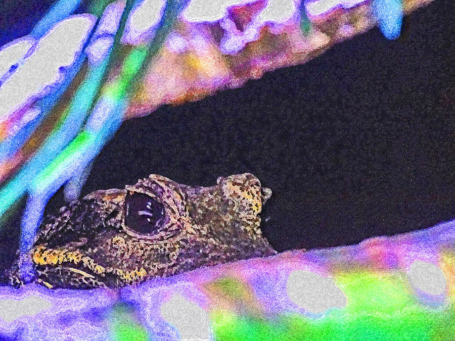 Hidden Croc Digital Art by Island Hoppers Art