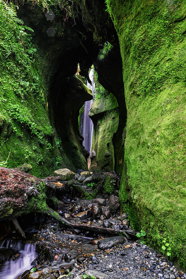 Hidden Cyclops Photograph By Foolhardy Photography - Pixels