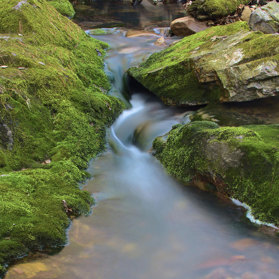 Hidden Devils Lake State Park Stream Photograph by Chris Pappathopoulos