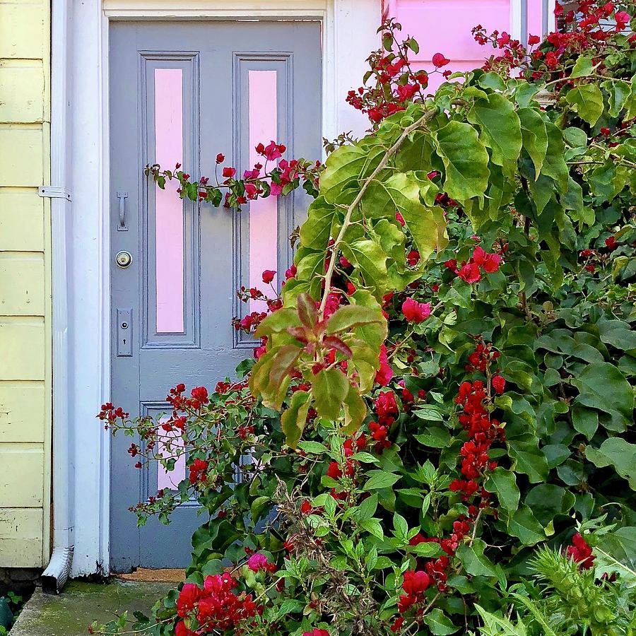 Hidden Door Photograph by Julie Gebhardt
