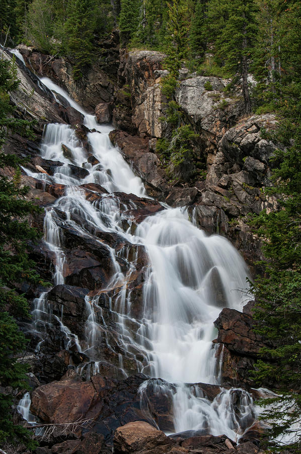 Grand Teton National Park Photograph - Hidden Falls by Melissa Southern