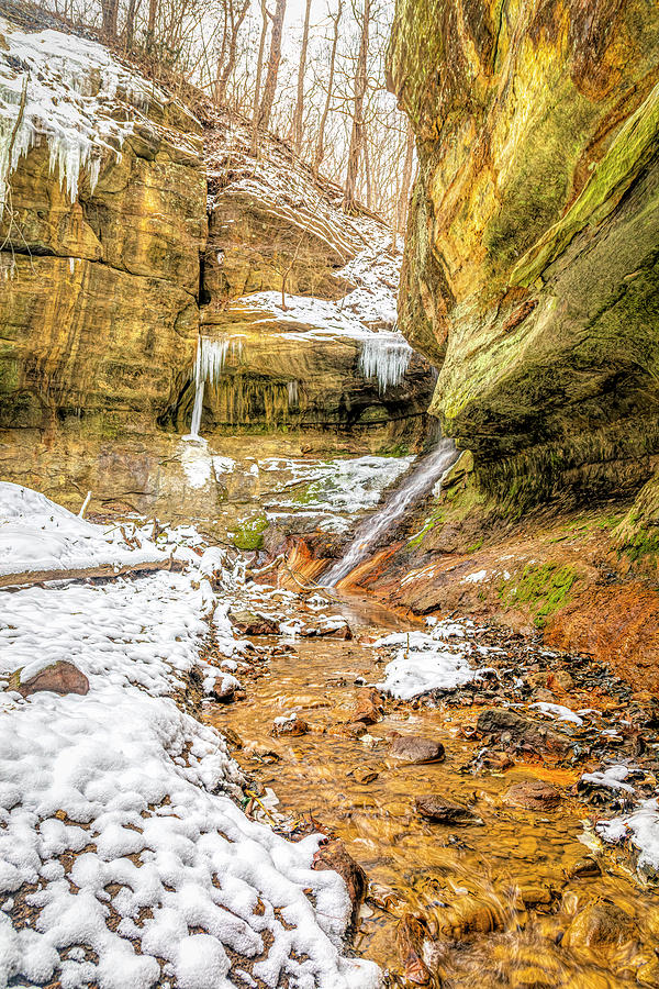 Hidden Falls Photograph by Todd Reese - Fine Art America