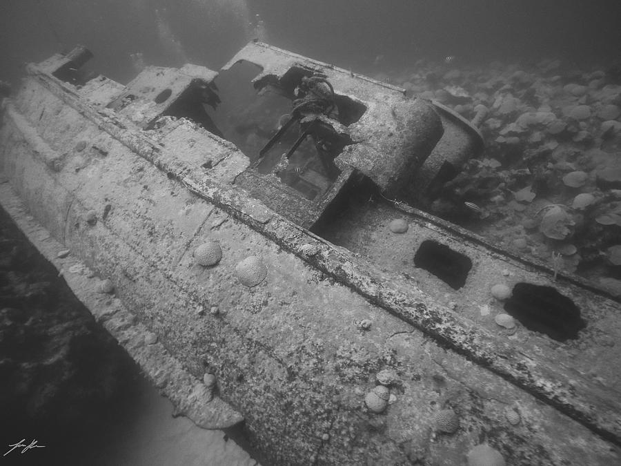 Hidden Gem Photograph by Felicia Kaylor Fine Art America