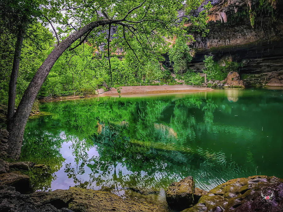 Hidden Hill Country Treasure Photograph by Pam Rendall