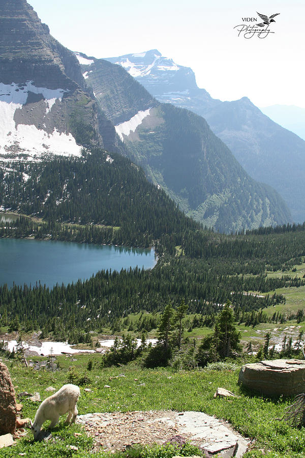 Hidden Lake Photograph by Daryl Benson - Fine Art America