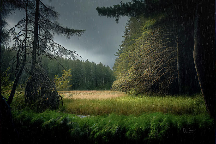 Hidden Meadow Photograph by Bill Posner