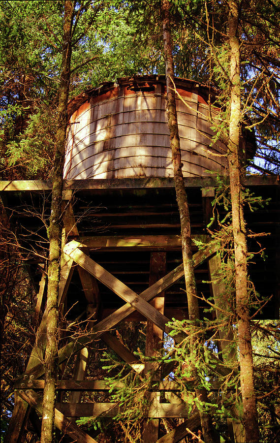Hidden old Wooden Water Tower Photograph by Tikvahs Hope