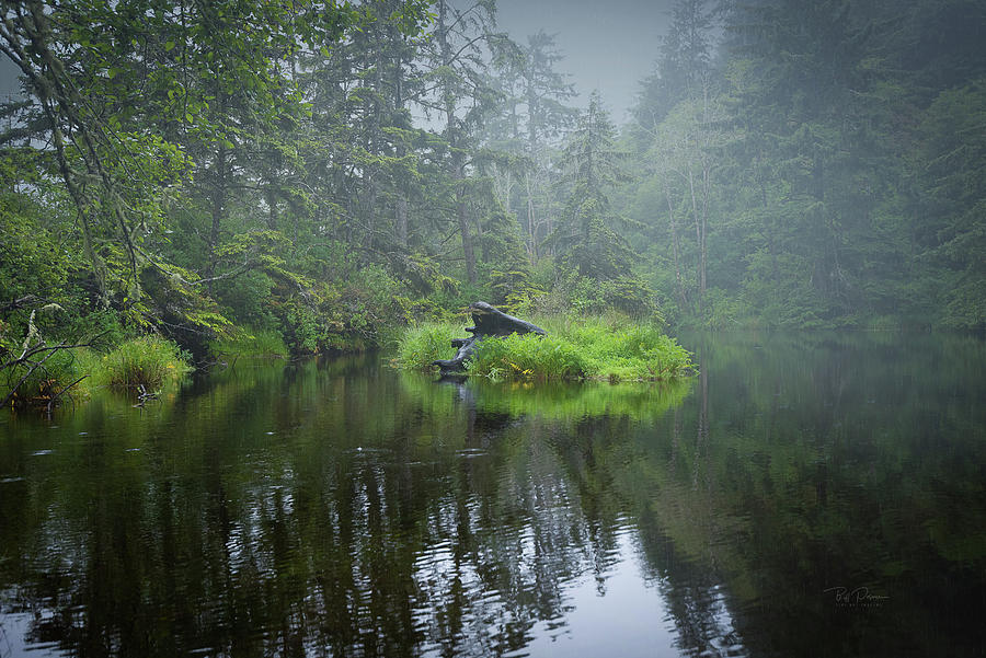 Hidden Pond Photograph by Bill Posner