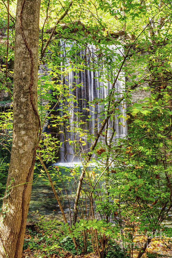 Hidden SDC Waterfall Photograph by Jennifer White
