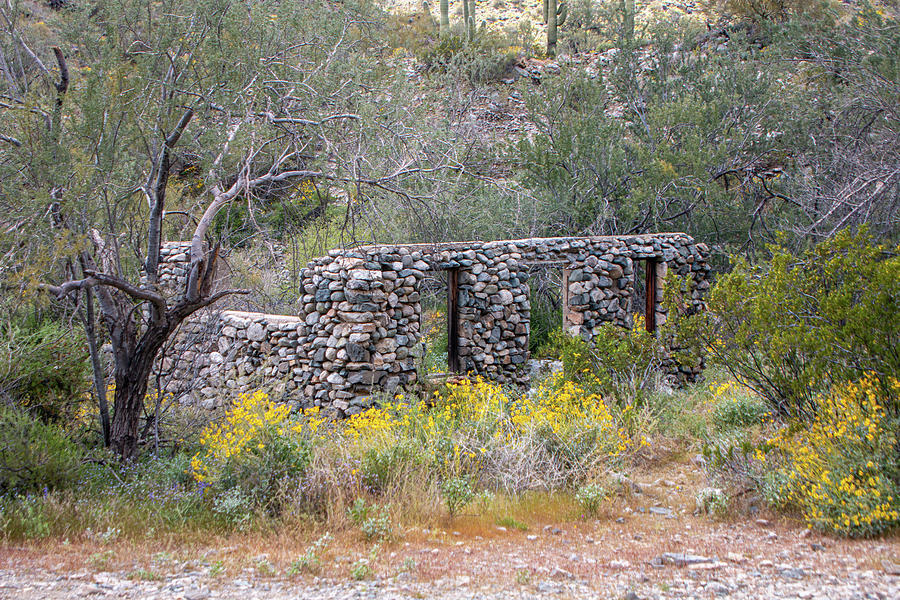 Hidden Treasure - Stone Building Remains 2 Photograph by Teresa Wilson