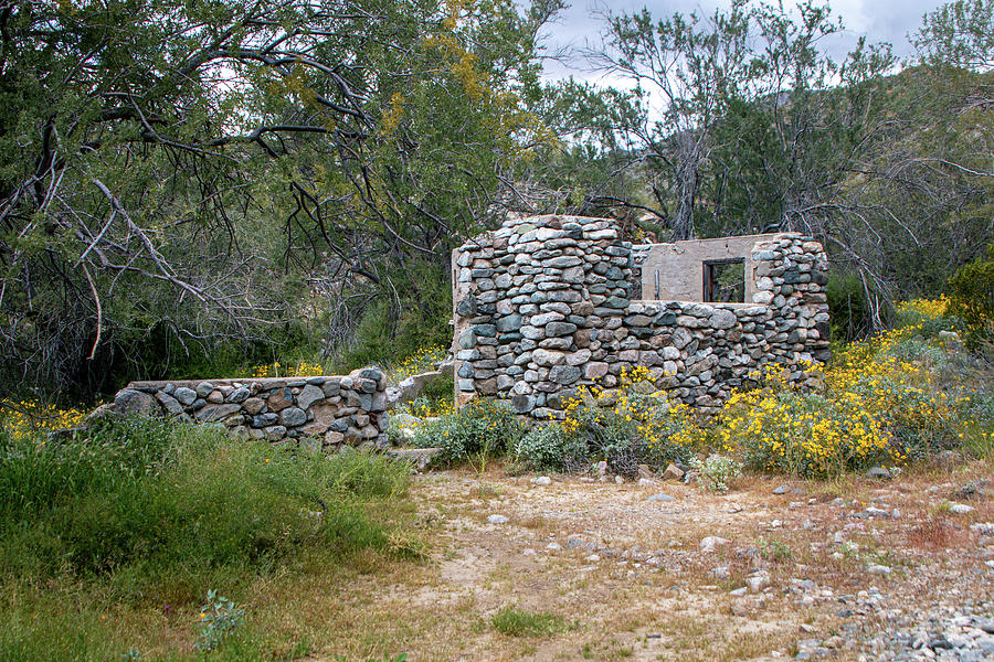 Nature Photograph - Hidden Treasure - Stone Building Remains 3 by Teresa Wilson