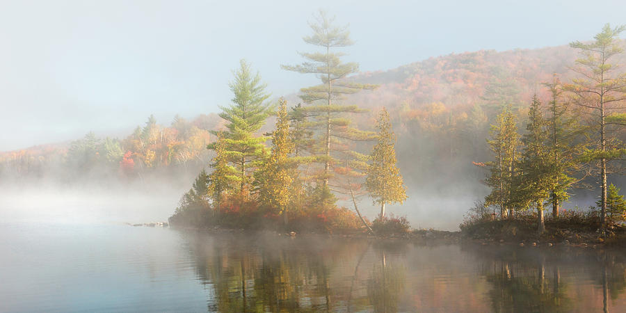 Hidden Treasures - Ricker Pond Vermont Photograph by Photos By Thom