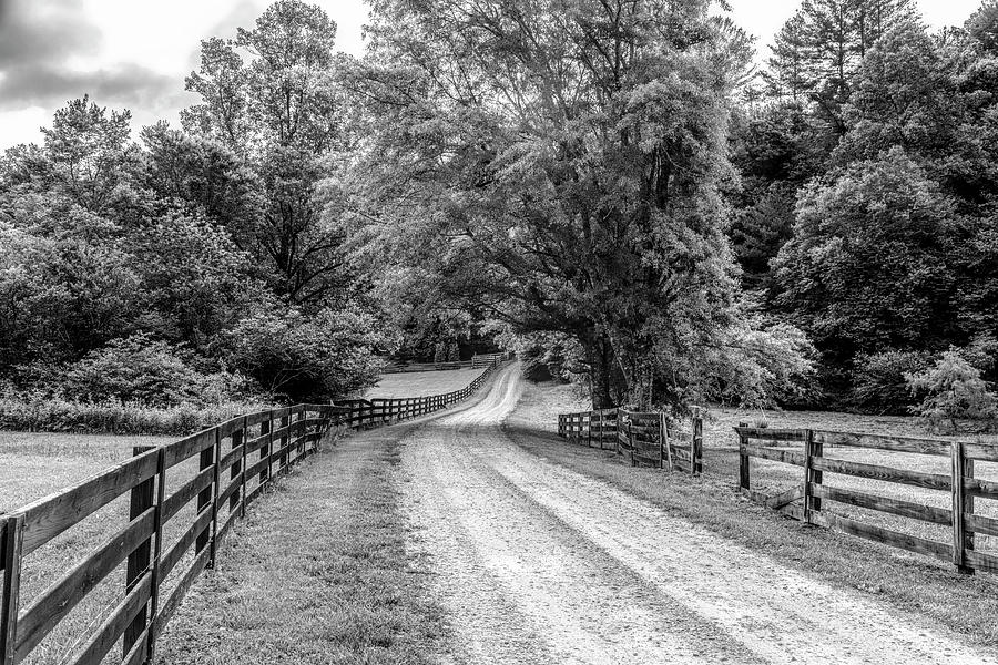 Hidden Valley Country Road Black and White Photograph by Debra and Dave Vanderlaan