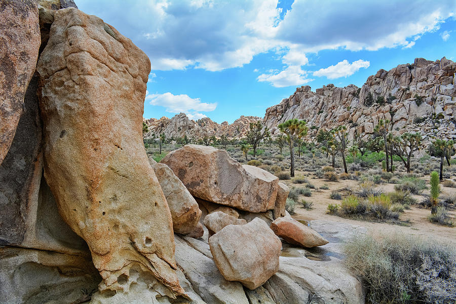 Hidden Valley Desert Photograph by Kyle Hanson