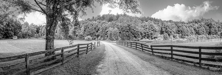 Hidden Valley Road Panorama Black and White Photograph by Debra and Dave Vanderlaan
