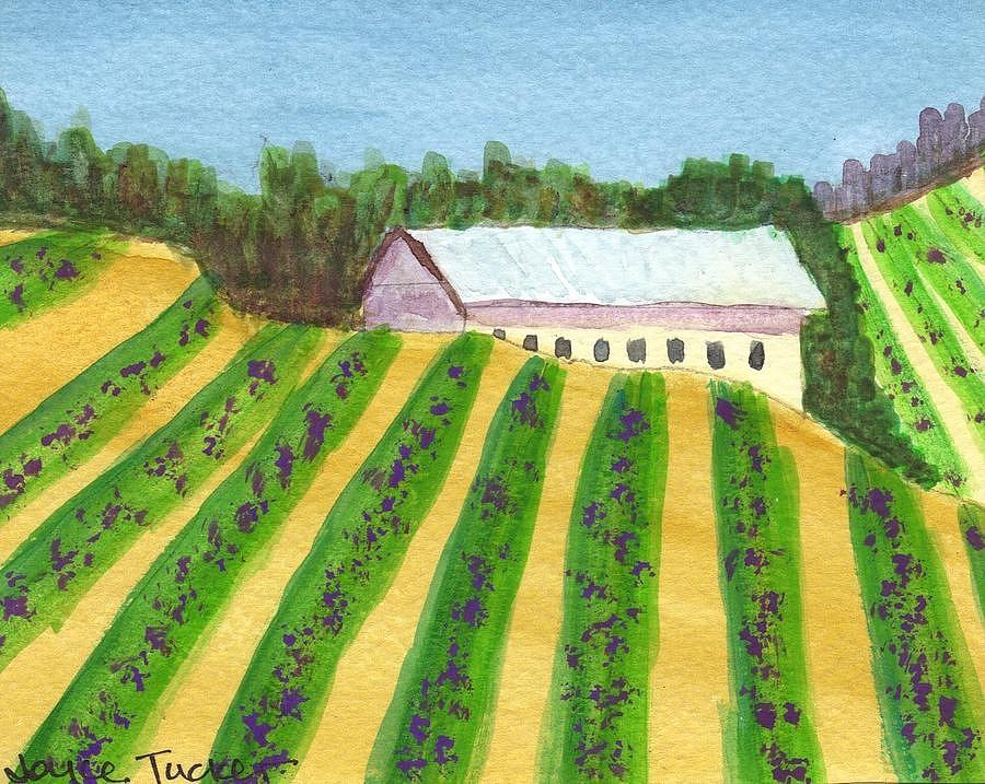 Watercolor Painting - Hidden Vineyard by Joyce Tucker
