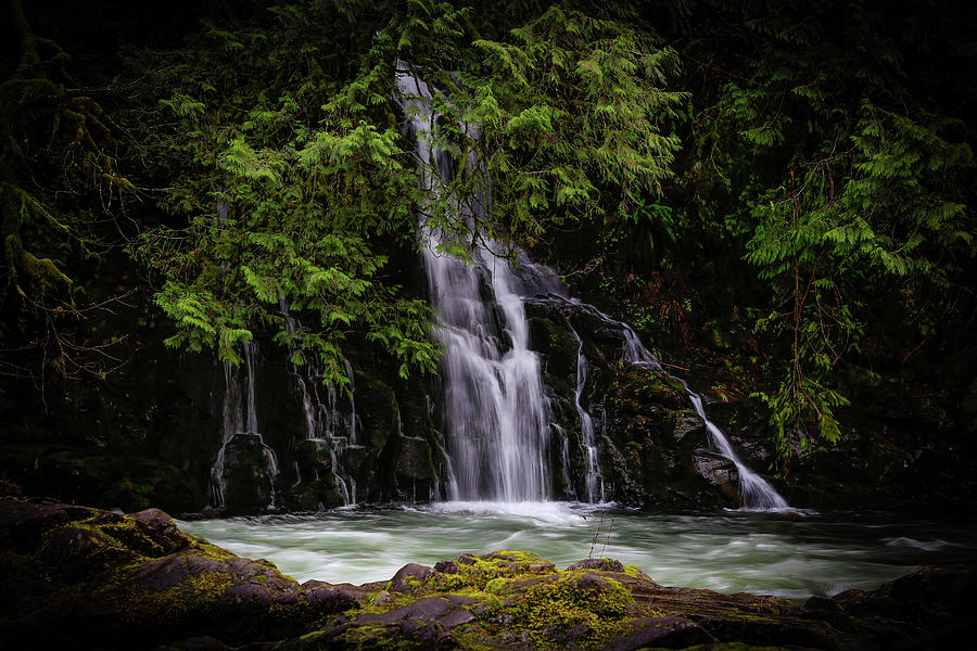 Hidden Waterfall Photograph by Athena Mckinzie