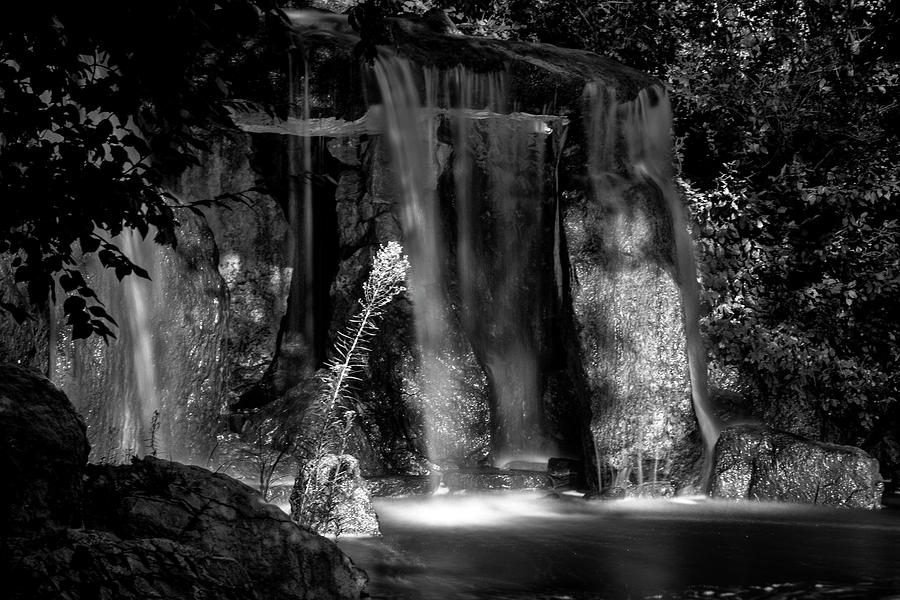 Hidden Waterfall in Black and White Photograph by Mary Lee Dereske