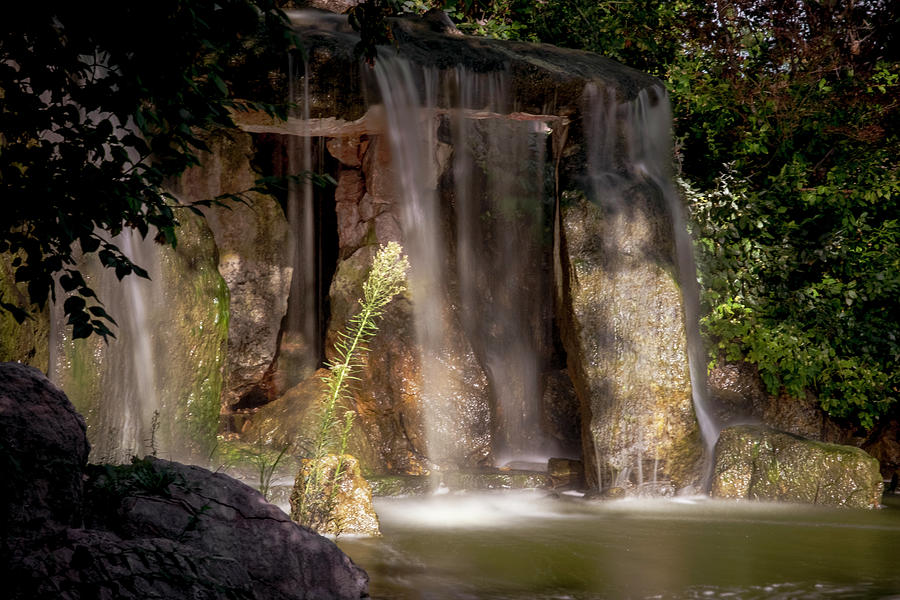 Hidden Waterfall in Color Photograph by Mary Lee Dereske
