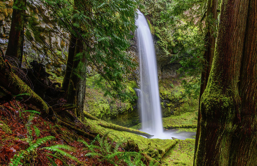 Hidden waterfall in Mt. Hood Natl Forest Photograph by John Wilbur Hidden waterfall in Mt. Hood Natl Forest Photograph by John Wilbur