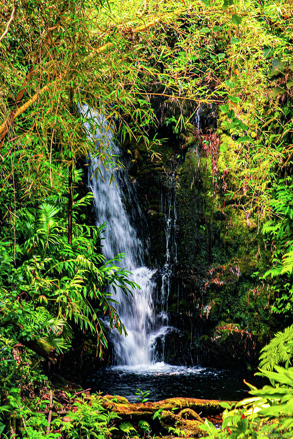 Hidden Waterfall Photograph by John Bauer