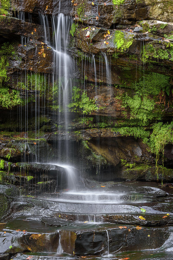 Hidden waterfall Photograph by Robert Miller