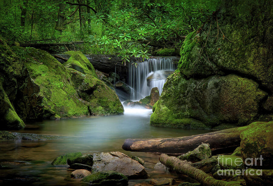 Hidden Waterfalls Photograph by Shelia Hunt