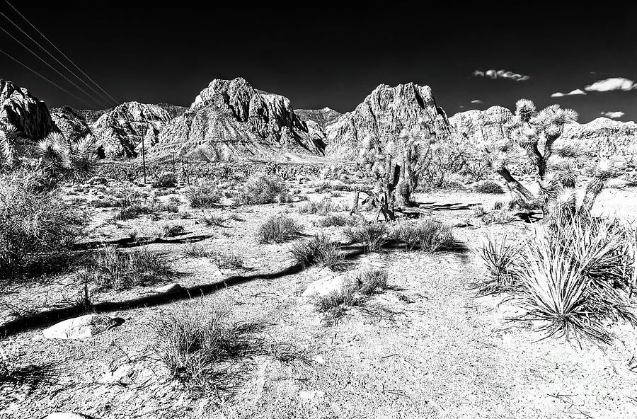 Hide and Seek in the Desert at Red Rock Canyon Infrared Photograph by John Rizzuto