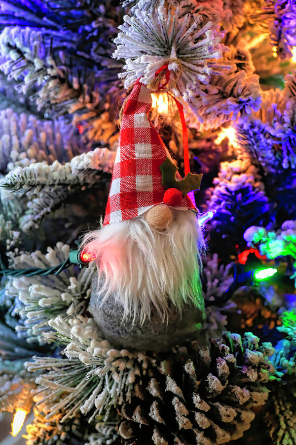 Hiding In the Christmas Tree Photograph by Donna Kennedy - Fine Art America