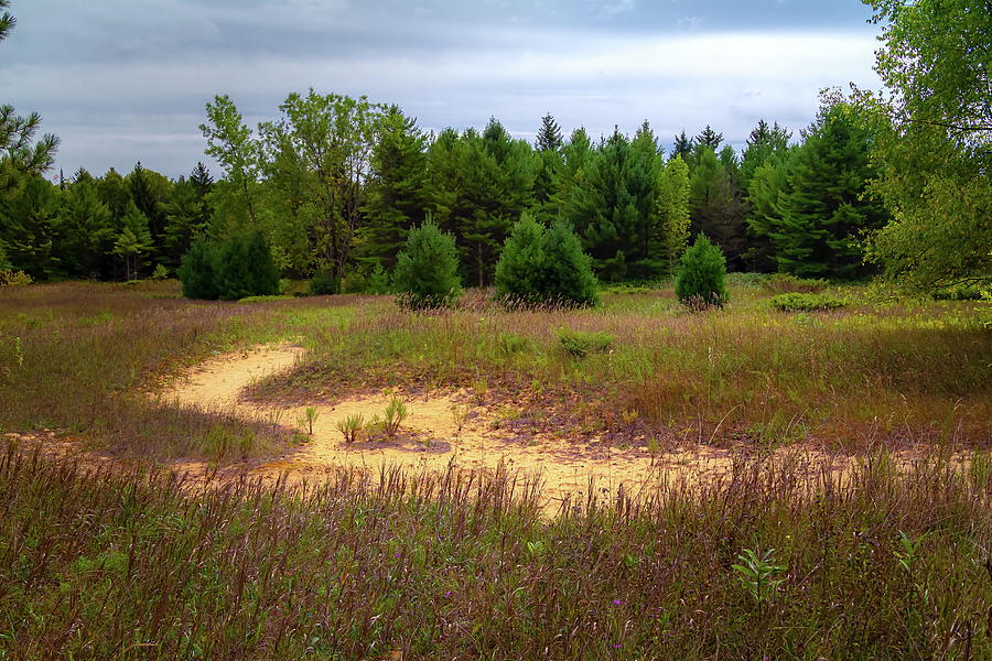 Heins Creek Nature Preserve Meadow 2 Photograph by Chuck De La Rosa