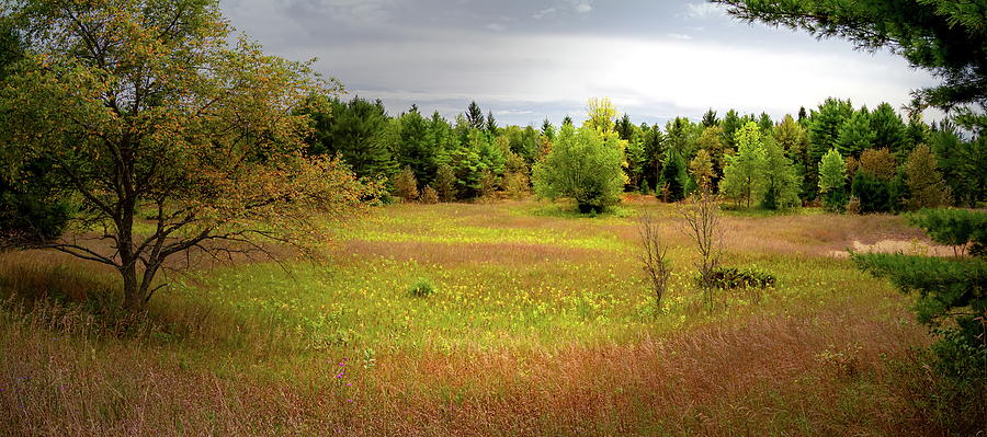Heins Creek Nature Preserve Meadow Photograph by Chuck De La Rosa